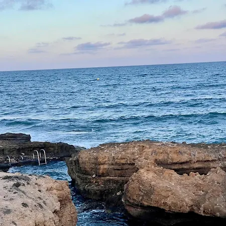 Sunny Terrace & Bbq Torrevieja