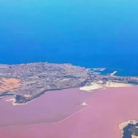 Apartman Sunny Terrace & Bbq