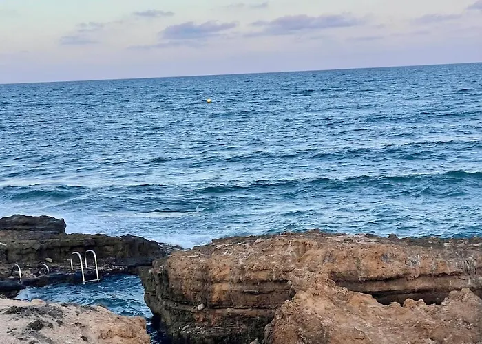 Sunny Terrace & Bbq Torrevieja