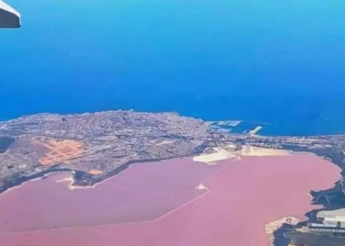 Appartement Sunny Terrace & Bbq