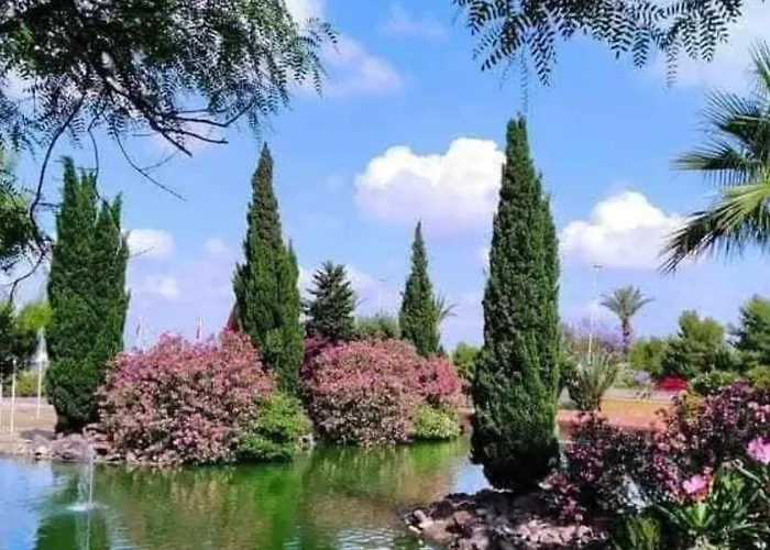 Apartment Sunny Terrace & Bbq Torrevieja